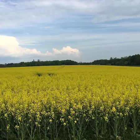 Nilehoj Gospodarstwo wiejskie