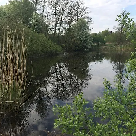 Nilehoj Ringsted