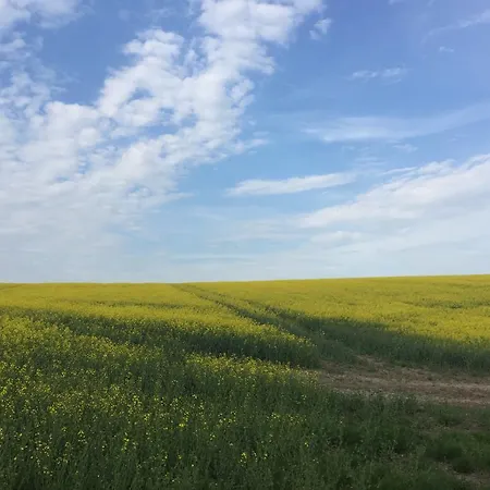 Nilehoj Gospodarstwo wiejskie Ringsted