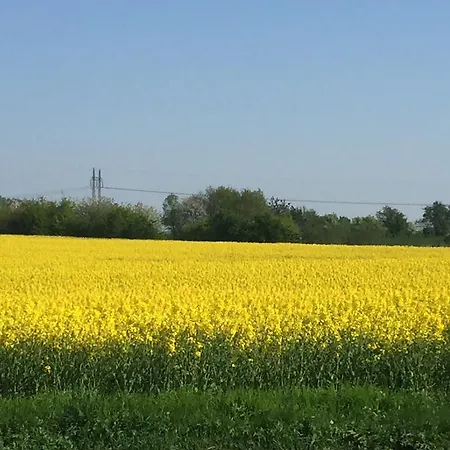 Gospodarstwo wiejskie Nilehoj